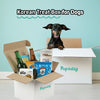 Korean Treat Box for Dogs