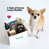 Korean Treat Box for Dogs
