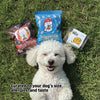 Korean Treat Box for Dogs
